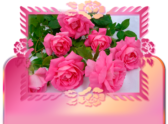 Картинки цветы для аленки